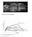 Fig. 02 - Polymer fibers for reinforcement of cement-based composites