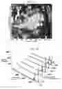 Fig. 09 - Structural and mechanical properties of nano and micro AlO-cBN composites prepared by spark plasma sintering