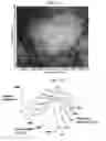 Fig. 10 - Structural and mechanical properties of nano and micro AlO-cBN composites prepared by spark plasma sintering