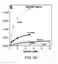Fig. 08 - Centrally active and orally bioavailable antidotes for organophosphate exposure and methods for making and using them