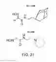 Fig. 28 - Centrally active and orally bioavailable antidotes for organophosphate exposure and methods for making and using them