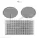Fig. 02 - N-acylurea derivative and composition comprising same for prevention or treatment of cardiovascular disease