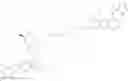 Fig. 258 - Conjugates comprising RIPK2 inhibitors