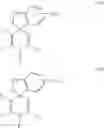 Fig. 87 - Hepatitis B antiviral agents