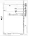 Fig. 02 - Polycyclic aminosilane compounds and making method