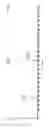 Fig. 07 - Preparation of functional homocysteine residues in polypeptides and peptides