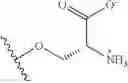 Fig. 131 - Preparation of functional homocysteine residues in polypeptides and peptides