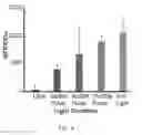 Fig. 05 - System and method of optogenetically controlling metabolic pathways for the production of chemicals