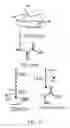 Fig. 15 - System and method of optogenetically controlling metabolic pathways for the production of chemicals
