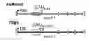 Fig. 01 - Methods of treating mitochondrial disorders