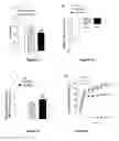 Fig. 02 - PEPTIDES AND NANOPARTICLE FORMULATIONS THEREOF
