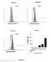 Fig. 08 - PEPTIDES AND NANOPARTICLE FORMULATIONS THEREOF