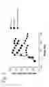Fig. 05 - Compositions of phosphorylated tau peptides and uses thereof