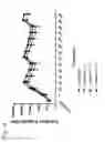 Fig. 19 - Compositions of phosphorylated tau peptides and uses thereof