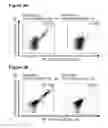 Fig. 22 - Peptides and combination of peptides for use in immunotherapy against small cell lung cancer and other cancers