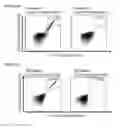 Fig. 23 - Peptides and combination of peptides for use in immunotherapy against small cell lung cancer and other cancers