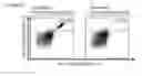 Fig. 24 - Peptides and combination of peptides for use in immunotherapy against small cell lung cancer and other cancers