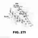 Fig. 71 - Compositions and methods for targeted cytokine delivery