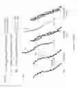Fig. 04 - Optimal interstrand bridge for collagen mimics