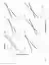 Fig. 06 - Optimal interstrand bridge for collagen mimics