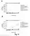 Fig. 16 - MESSENGER RIBONUCLEIC ACIDS FOR THE PRODUCTION OF INTRACELLULAR BINDING POLYPEPTIDES AND METHODS OF USE THEREOF