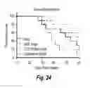 Fig. 28 - MESSENGER RIBONUCLEIC ACIDS FOR THE PRODUCTION OF INTRACELLULAR BINDING POLYPEPTIDES AND METHODS OF USE THEREOF