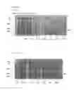 Fig. 07 - Immunoglobulin frameworks which demonstrate enhanced stability in the intracellular environment and methods of identifying same