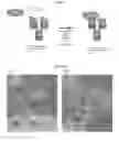 Fig. 02 - Methods of treatment using activatable anti-EGFR antibodies