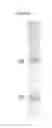 Fig. 02 - Humanized anti-rage antibody