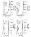 Fig. 22 - HUMAN CTLA-4 ANTIBODIES AND THEIR USES