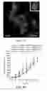 Fig. 10 - Plectin-1 binding antibodies and uses thereof