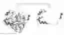 Fig. 01 - METHODS OF CONSTRUCTING IMMUNOGLOBULIN FUSION PROTEINS INHIBITING CATHEPSIN B AND COMPOSITIONS THEREOF
