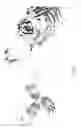 Fig. 03 - METHODS OF CONSTRUCTING IMMUNOGLOBULIN FUSION PROTEINS INHIBITING CATHEPSIN B AND COMPOSITIONS THEREOF