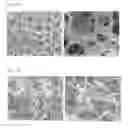 Fig. 02 - Porous super absorbent polymer and preparation method thereof