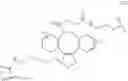 Fig. 12 - Hyaluronic acid conjugates and uses thereof