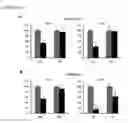 Fig. 45 - Biomimetic support for three-dimensional cell culturing, method for manufacturing same, and use thereof