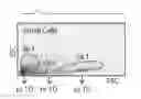 Fig. 01 - Adult stem cell compositions and methods of identification and isolation
