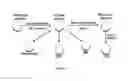 Fig. 07 - Induction of corneal endothelial cells