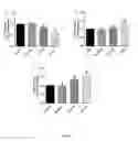 Fig. 05 - MODULATION OF T LYMPHOCYTES