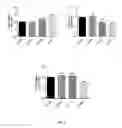 Fig. 06 - MODULATION OF T LYMPHOCYTES