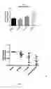Fig. 07 - MODULATION OF T LYMPHOCYTES