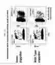 Fig. 07 - Modified stem cell memory T cells, methods of making and methods of using same