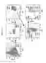 Fig. 28 - Modified stem cell memory T cells, methods of making and methods of using same