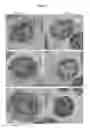 Fig. 07 - Compositions and methods for performing magnetibuoyant separations