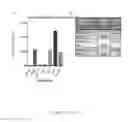 Fig. 34 - METHODS AND COMPOSITIONS RELATING TO HEMATOPOIETIC STEM CELL EXPANSION
