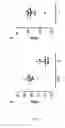 Fig. 06 - Bacteriophage strain capable of producing a lytic infection in the ST131-025B:H4 clone