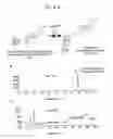 Fig. 06 - Glucuronosyltransferase, gene encoding same and use thereof