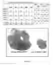 Fig. 05 - Truncated Constructs Related To RIPK3