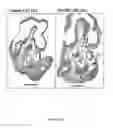 Fig. 09 - Truncated Constructs Related To RIPK3