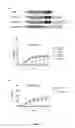 Fig. 13 - Truncated Constructs Related To RIPK3